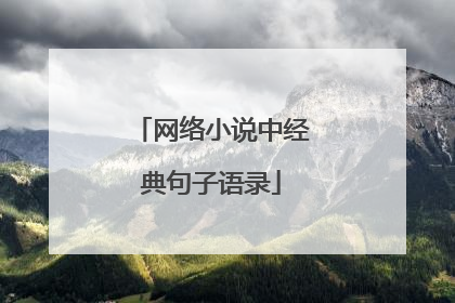 网络小说中经典句子语录
