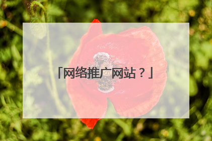 网络推广网站?