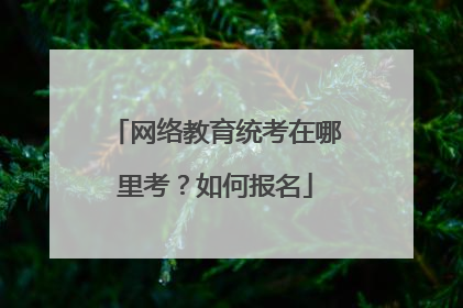 网络教育统考在哪里考？如何报名
