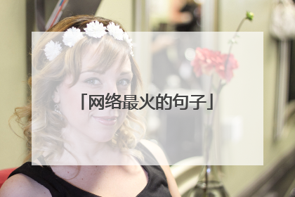 网络最火的句子