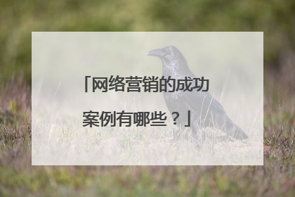 网络营销的成功案例有哪些?