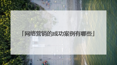网络营销的成功案例有哪些