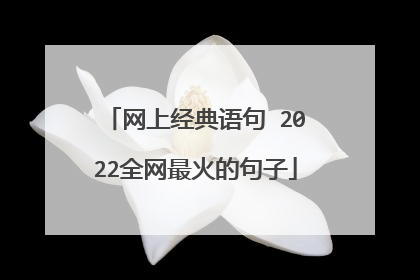 网上经典语句 2022全网最火的句子