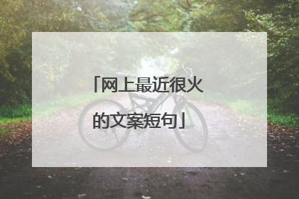 网上最近很火的文案短句