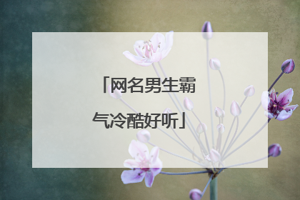网名男生霸气冷酷好听