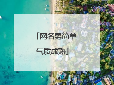 网名男简单气质成熟
