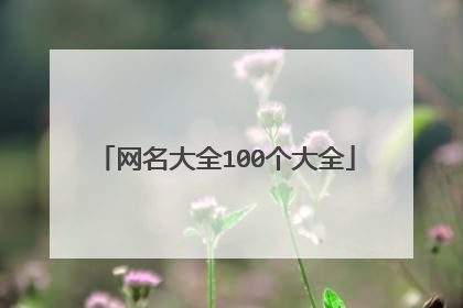 网名大全100个大全