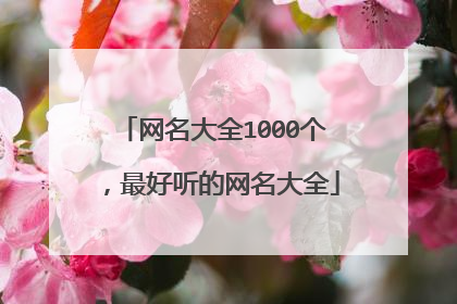 网名大全1000个,最好听的网名大全