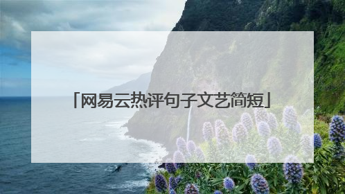 网易云热评句子文艺简短