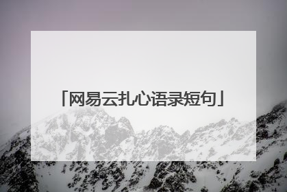 网易云扎心语录短句