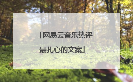 网易云音乐热评最扎心的文案