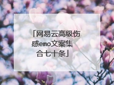 网易云高级伤感emo文案集合七十条