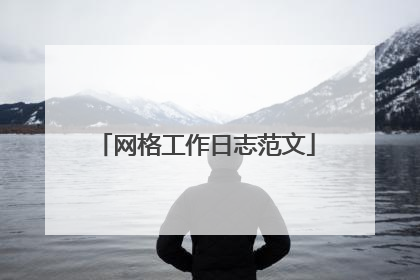 网格工作日志范文