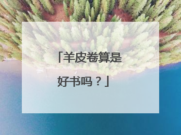 羊皮卷算是好书吗？
