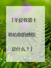 羊皮卷第十卷给你的感悟是什么？