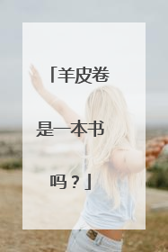 羊皮卷是一本书吗？