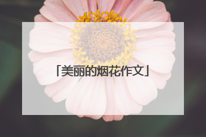 美丽的烟花作文