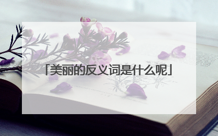 美丽的反义词是什么呢