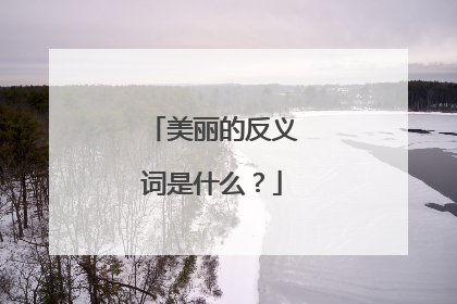 美丽的反义词是什么?
