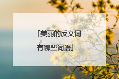 美丽的反义词有哪些词语