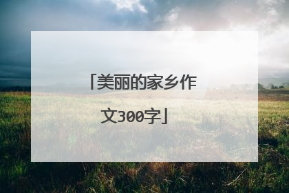 美丽的家乡作文300字