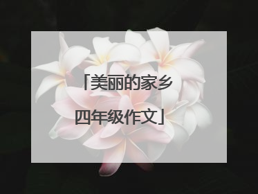 美丽的家乡四年级作文