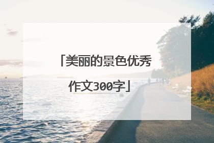 美丽的景色优秀作文300字