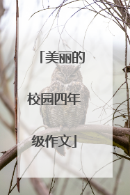 美丽的校园四年级作文