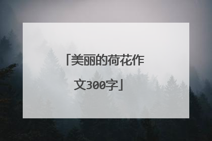 美丽的荷花作文300字