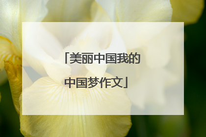 美丽中国我的中国梦作文