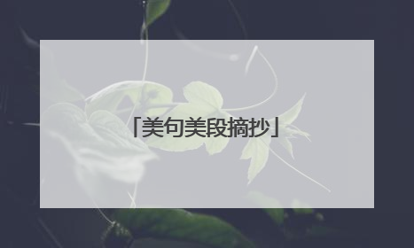 美句美段摘抄
