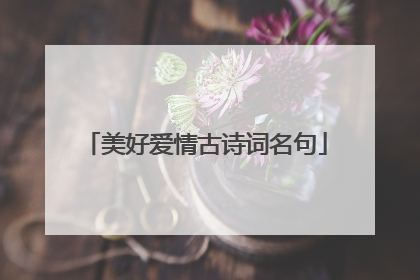 美好爱情古诗词名句