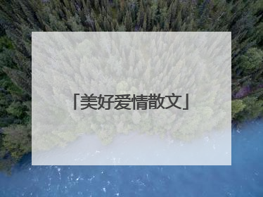 美好爱情散文