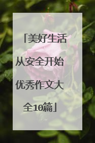 美好生活从安全开始优秀作文大全10篇