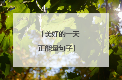 美好的一天正能量句子