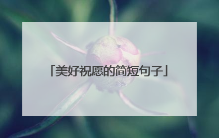 美好祝愿的简短句子