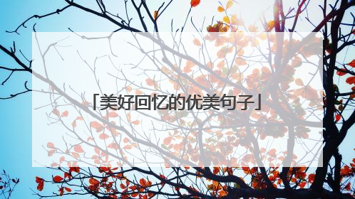 美好回忆的优美句子