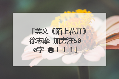 美文《陌上花开》徐志摩 加旁注500字 急！！！