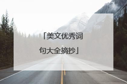 美文优秀词句大全摘抄