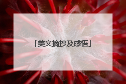 美文摘抄及感悟