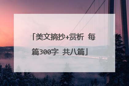 美文摘抄+赏析 每篇300字 共八篇