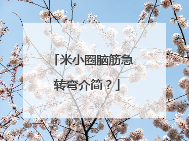 米小圈脑筋急转弯介简？