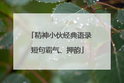 精神小伙经典语录短句霸气、押韵