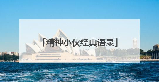 精神小伙经典语录