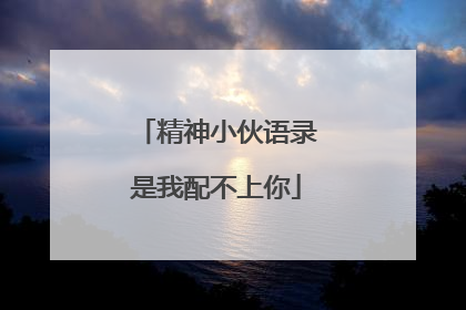 精神小伙语录是我配不上你
