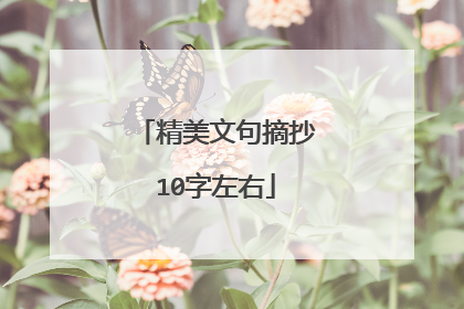 精美文句摘抄10字左右
