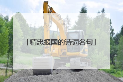 精忠报国的诗词名句