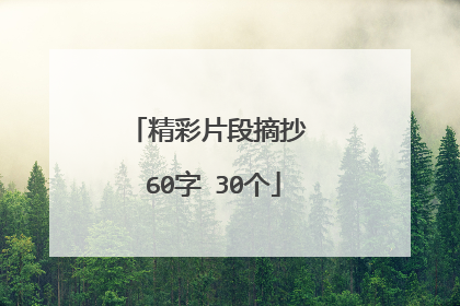 精彩片段摘抄 60字 30个