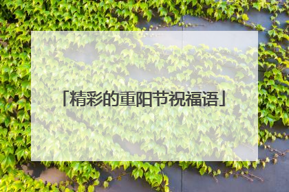 精彩的重阳节祝福语