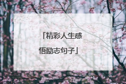 精彩人生感悟励志句子